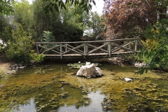 estanque-zona-de-recreo-viveros-ferca