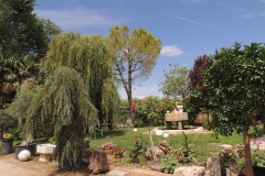 zonas-verdes-viveros-ferca