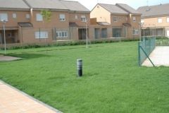 Plantación-césped-y-zonas-verdes-Viveros-Ferca