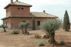 Realización-de-jardines-Viveros-Ferca