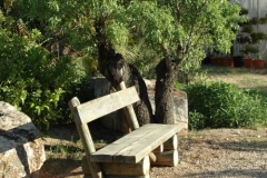 Banco-rústico-a-la-sombra-de-un-almendro